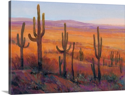 Desert Light I